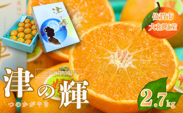 【12月～2月上旬発送】佐賀市大和町産みかん「津の輝」 温州みかん 佐賀みかん 贈答 ギフト：B150-076