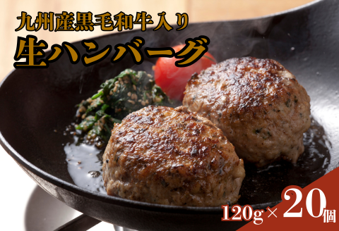 牛100％九州産黒毛和牛入り生ハンバーグ：B165-004