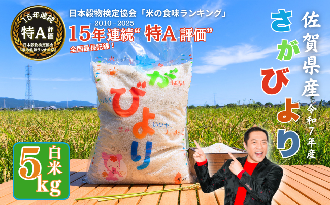 【新米】令和7年産 佐賀県産 さがびより 白米 5kg おこめ 米 ：B170-023
