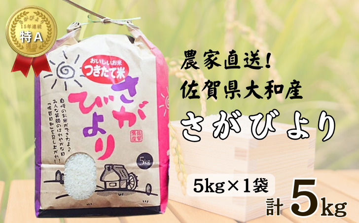佐賀県大和産「さがびより」5kg 米 農家直送：B170-033