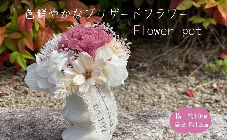 ドライフラワーポット ピンク 母の日におすすめ：B175-008