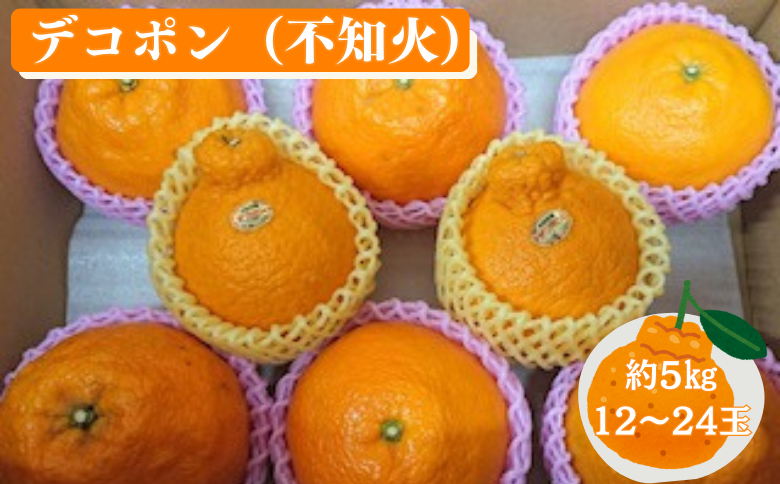 【先行予約】佐賀みかん デコポン【不知火】：B195-006
