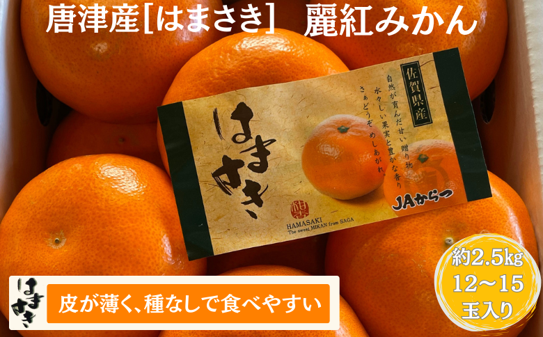 佐賀みかん 唐津産【はまさき】麗紅みかん：B210-021