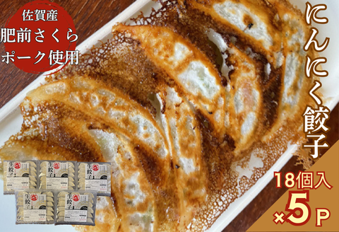 佐賀産「肥前さくらポーク」を100％使用した餃子5Pセット（合計90個）：B220-032