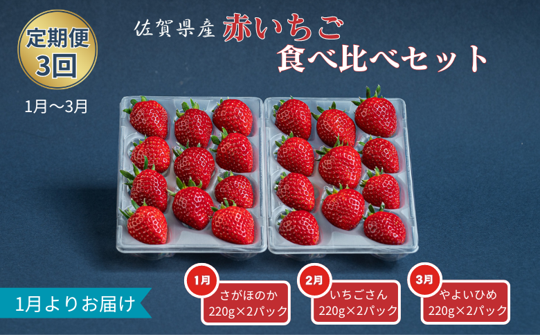 【定期便3回】赤いちご食べ比べ（1月〜3月発送）：B275-005