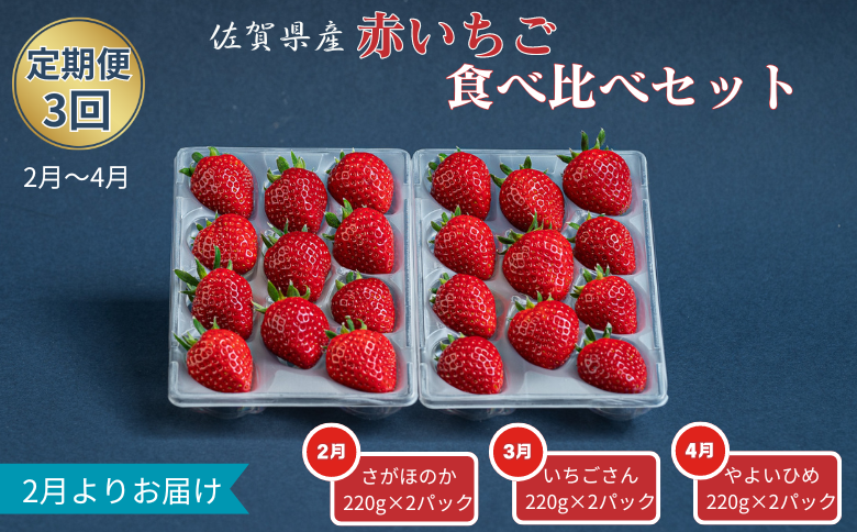 【定期便3回】赤いちご食べ比べ（2月〜4月発送）：B275-006