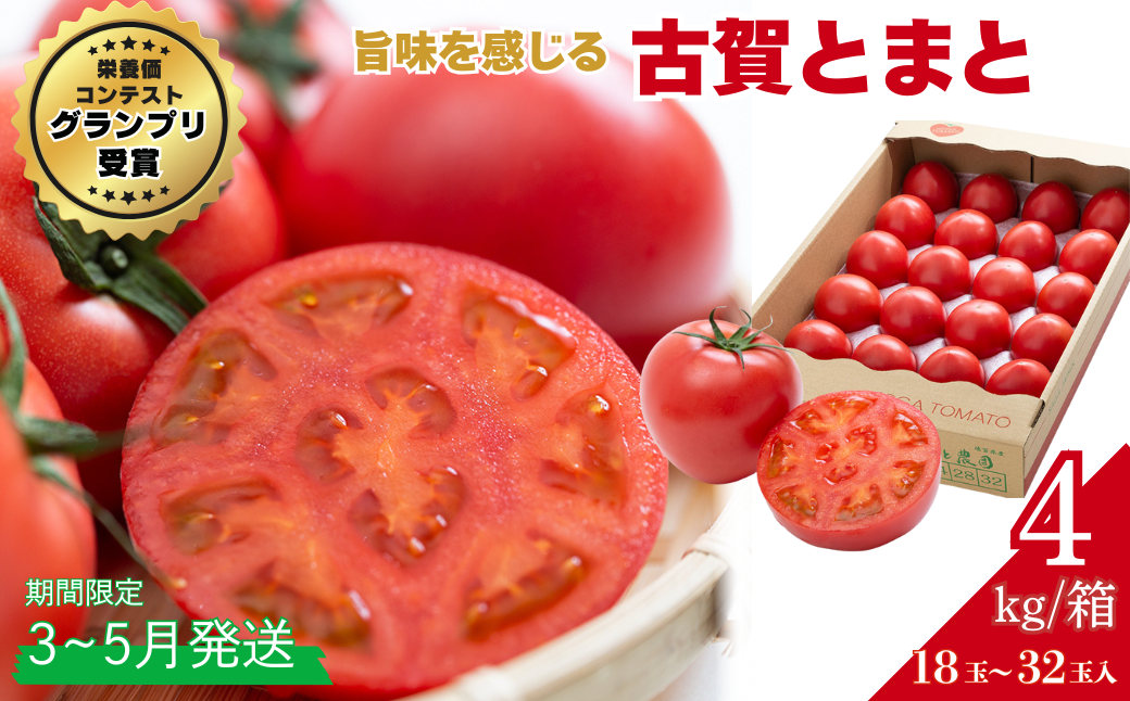 【期間限定】栄養価コンテストでグランプリを受賞した「古賀とまと」 3月～5月発送 トマト 野菜 産地直送 佐賀県 佐賀市：B290-008