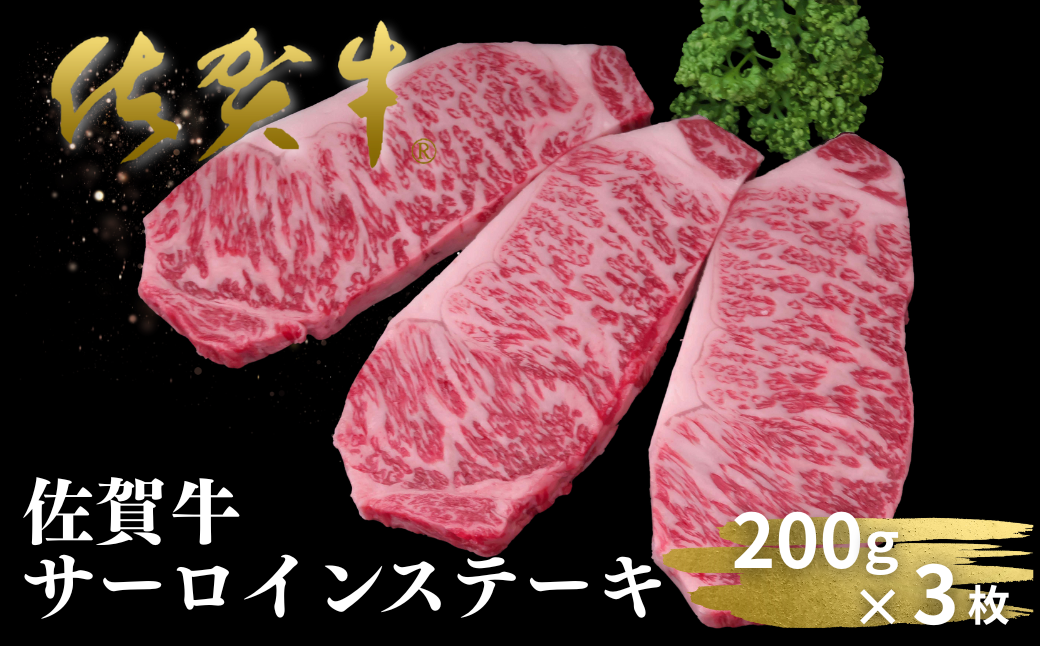 佐賀牛サーロインステーキ 200g×3枚：B330-011