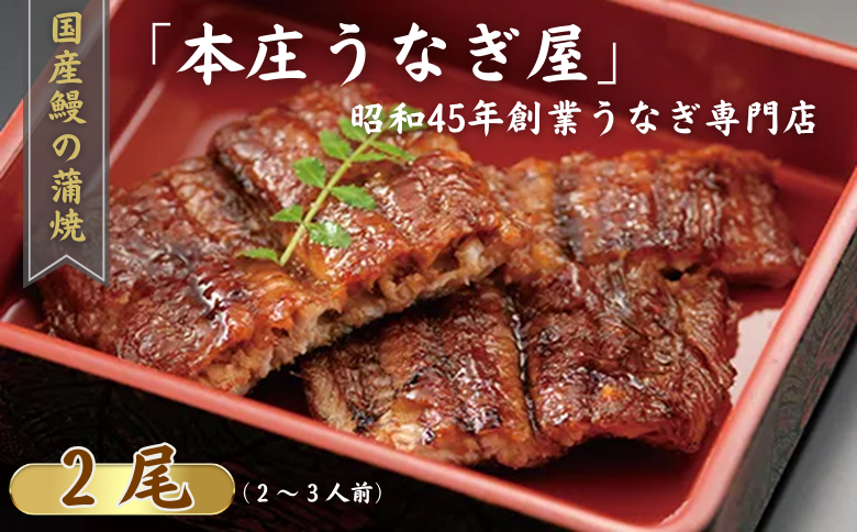 「本庄うなぎ屋」の国産鰻の蒲焼 2尾（2～3人前）：B335-018