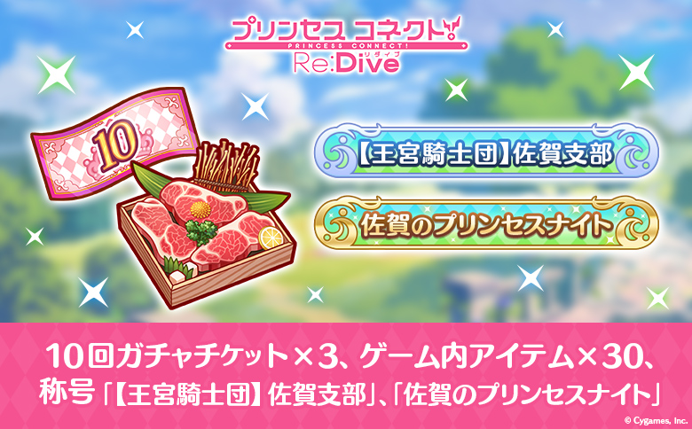 【ふるさと納税限定】Cygames プリコネR ゲーム内アイテムセット【cyg2】：B360-005