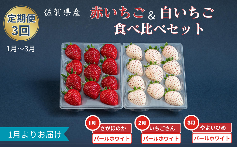 【定期便3回】赤いちご白いちご食べ比べ（1月〜3月発送）：B395-012