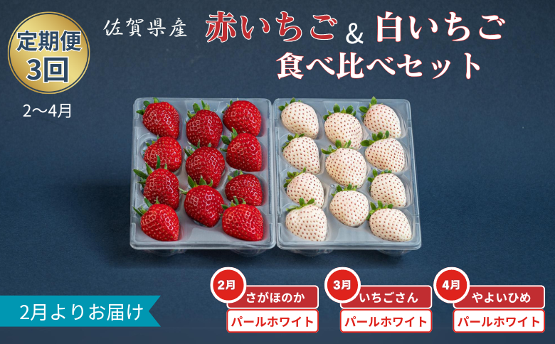 【定期便3回】赤いちご白いちご食べ比べ（2月〜4月発送）：B395-013