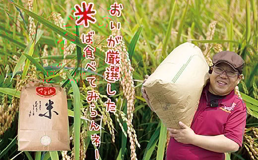 令和7年産 佐賀市三瀬村産「コシヒカリ」15kg（5kg×3袋）：B485-002