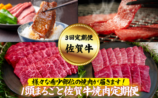 【定期便3回】【牧場直送】1頭まるごと佐賀牛焼肉定期便：B500-014