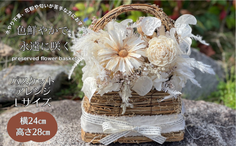 ドライフラワーバスケットアレンジ Lサイズ：B495-001