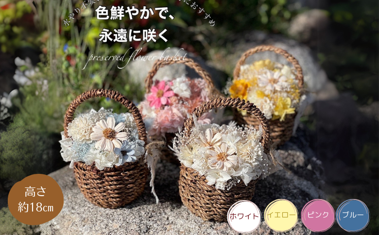 【4回定期便】ドライフラワーバスケットアレンジ：B865-003