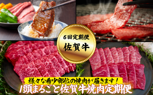 【定期便6回】【牧場直送】1頭まるごと佐賀牛焼肉定期便：B980-003