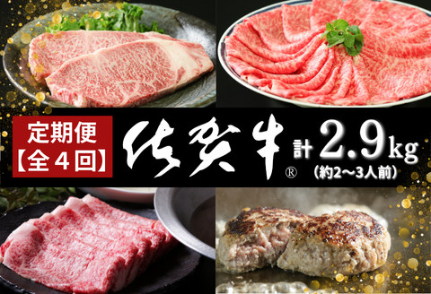 【定期便4回】佐賀牛セット 2.9kg（約2～3人前）：B985-003