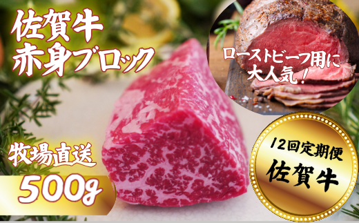 【定期便12回】佐賀牛 赤身ブロック肉 500g：C172-010