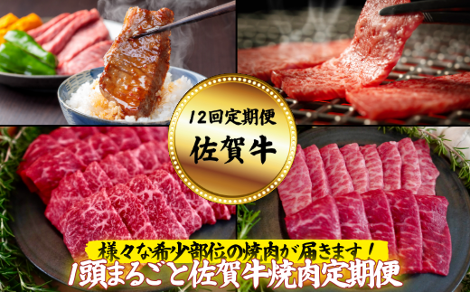 【定期便12回】【牧場直送】1頭まるごと佐賀牛焼肉定期便：C195-005
