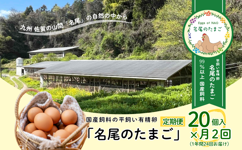 【定期便24回】国産飼料の平飼い有精卵「名尾のたまご」20個入：C210-003