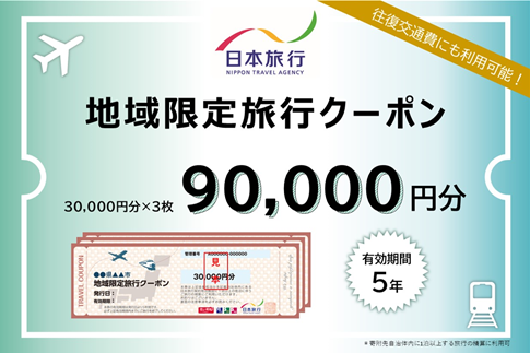 佐賀県佐賀市 地域限定旅行クーポン 90,000円分 日本旅行 トラベルクーポン
