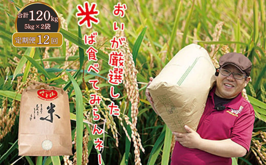 【定期便12回】三瀬村産「コシヒカリ」5kg×2袋 お米 白米 精米 ：C389-004