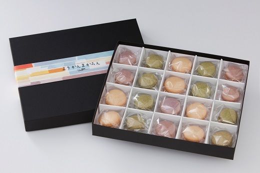 ハルツのようかんまかろん：B205-004