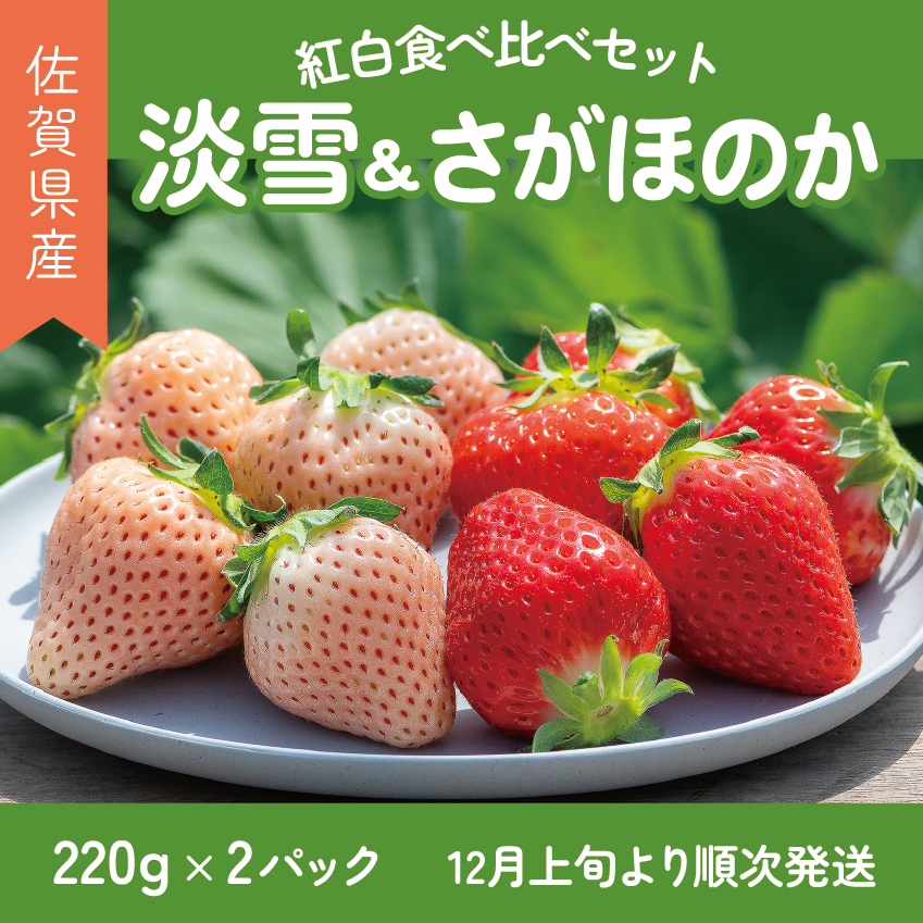 【先行予約】 佐賀県産 いちご さがほのか&淡雪 紅白セット フルーツ 果物 旬 苺 白いちご さがほのか 淡雪 220g×2P 紅白いちご 九州 佐賀県 佐賀市 清瀬農園 ：B140-069