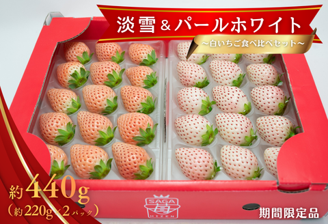佐賀県産 白いちご 淡雪＆パールホワイト：B180-035