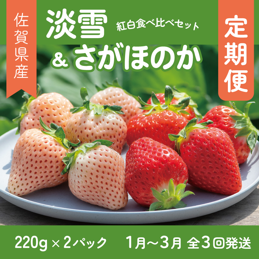 【定期便3回】佐賀県産 紅白いちご 食べ比べ 1~3月発送 淡雪 さがほのか フルーツ 果物 定期便 旬 苺 紅白 白いちご 九州 佐賀県 佐賀市 清瀬農園：B395-010