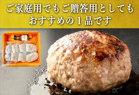 唐津バーグ8個とガーリックソースのセット 冷凍 真空パック 惣菜 特上ハンバーグ 小分け 個包装 にんにく 8個