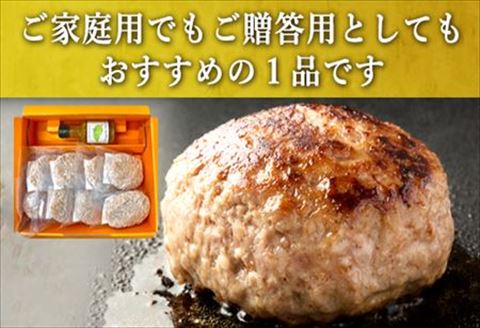 唐津バーグ8個と柚子胡椒ソースのギフトセット 冷凍 真空パック 惣菜 特上ハンバーグ 小分け 個包装 8個