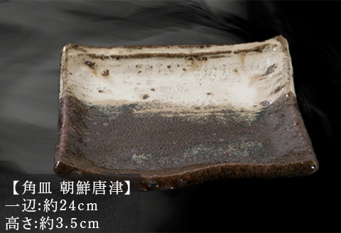 唐津焼 鏡山窯 角皿 井上公之作 朝鮮唐津 皿