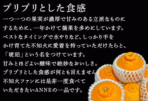 『先行予約』【令和8年2月中旬より順次発送】唐津産 不知火(琥珀) 約5kg(約16～20玉) デコポン でこぽん ミカン みかん 柑橘 フルーツ 果物
