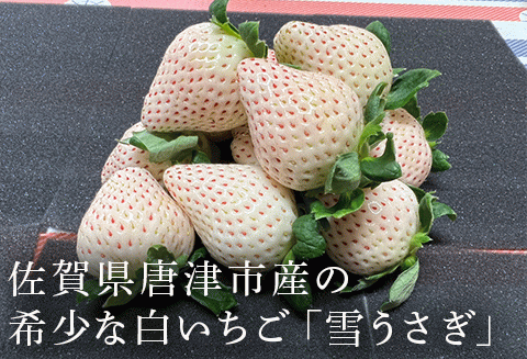 『先行予約』【令和8年2月中旬発送】唐津産 白いちご「雪うさぎ」苺 イチゴ 希少 果物 フルーツ ハマファーム