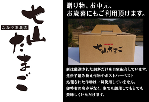 「全3回定期便」放し飼い！七山のたまご MLサイズ相当 (40個×3回) 合計120個 冷蔵 卵 玉子 平飼い 佐賀県唐津産