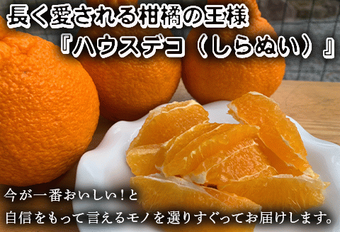 『予約受付』【令和6年2月下旬発送】こだわりの「ハウスデコ(しらぬい)」贈答箱1kg デコポン 不知火 ミカン みかん 柑橘 ギフト