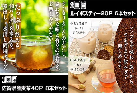 麦茶 パック 販売 何 回