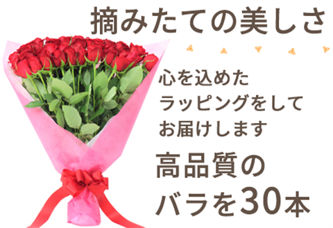 バラの花束 赤色 30本 長さ40cm以上を厳選 産地直送 摘み立て プレゼント用 最高品質 栄養剤付 「2024年 令和6年」