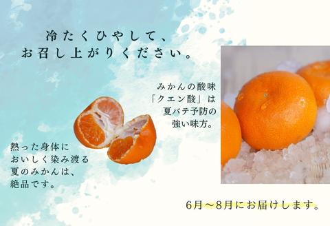 『先行予約』【令和8年6月より順次発送】夏の極上ハウスみかん「夏織」1.3kg  贈答箱・ギフトボックス入り ～海と空と、みかん～ 甘くてとろける夏の果物に ミカン フルーツ 柑橘