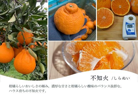 『先行予約』【令和8年1月下旬発送】唐津産ハウス育ち「不知火」1kg 贈答箱・ギフトボックス入り  ～海と空と、みかん～ デコポン ミカン みかん 柑橘 ギフト