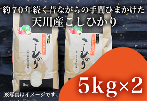『先行予約』【令和6年産】特別栽培米 【一等米】 唐津市天川産 こしひかり 5kg×2 (合計10kg) 減肥減農薬で育てた特別栽培米をお届け たんぱく質が少なく食味が良いお米