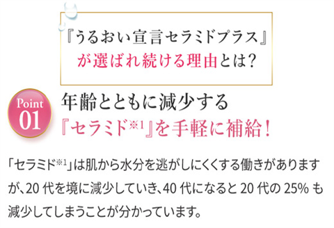 うるおい宣言セラミドプラスα アサイー味 1箱 30本入 約1ヶ月分 コラーゲンゼリー 脂質ゼロ スティック