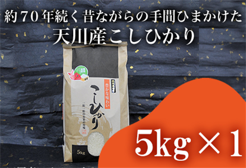 『先行予約』【令和6年産】特別栽培米 【一等米】 唐津市天川産 こしひかり 5kg 減肥減農薬で育てた特別栽培米をお届け たんぱく質が少なく食味が良いお米