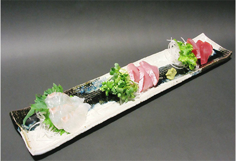 唐津焼 朝鮮唐津陶板 食器 長角プレ－ト おしゃれ