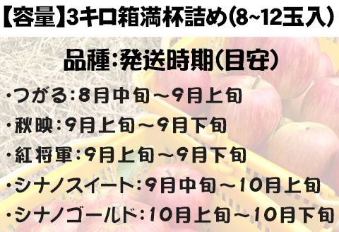 『先行予約』【令和7年8月中旬発送】厳選 九州旬のりんご 3キロ箱(8～12玉入) 九州 リンゴ 林檎 フルーツ 果物 つるが 秋映 紅将軍 シナノスイート シナノゴールド 3kg