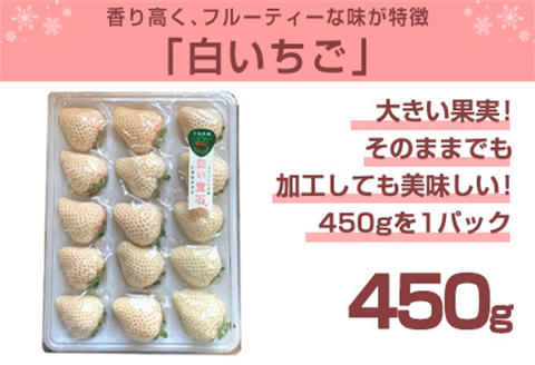 『先行予約』【令和8年2月上旬から4月下旬までにお届け】白い宝石 白いちご 450g 贈答用 いちご イチゴ 苺 フルーツ 果物 希少