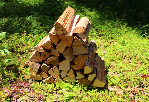 プレミアム薪 たき火台 サイズ20cm×9kg キャンプ BBQ アウトドア