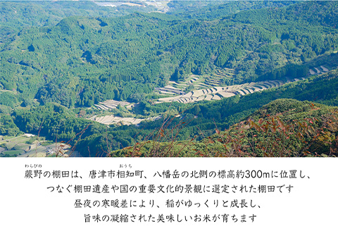 特別栽培棚田米「蕨野」5kg×1袋(合計5kg) 家庭排水が一切入らない自然水で作られたお米 10日に1回精米で新米のような味わい